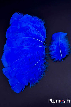 Dinde - 6-8 cm - bleu